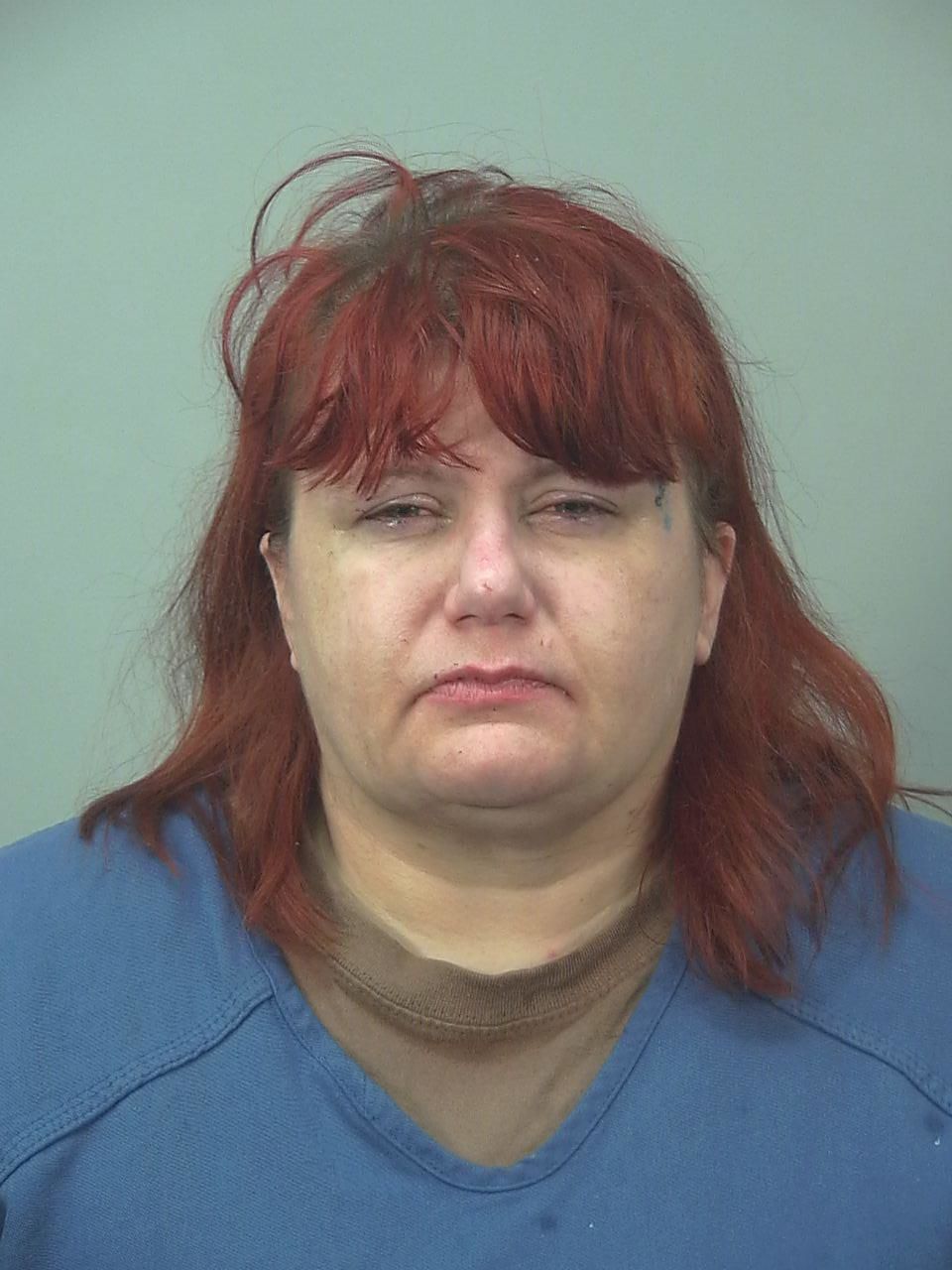 Police: Two arrested in string of Madison armed robberies